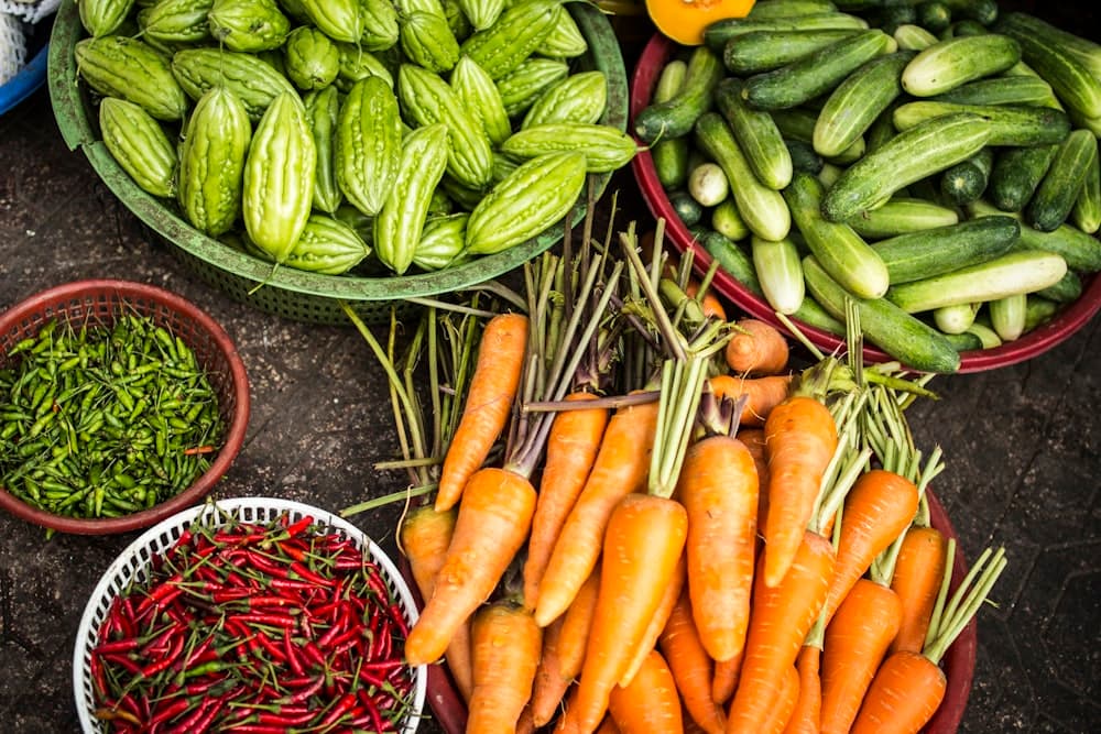 Organic Farming Projects