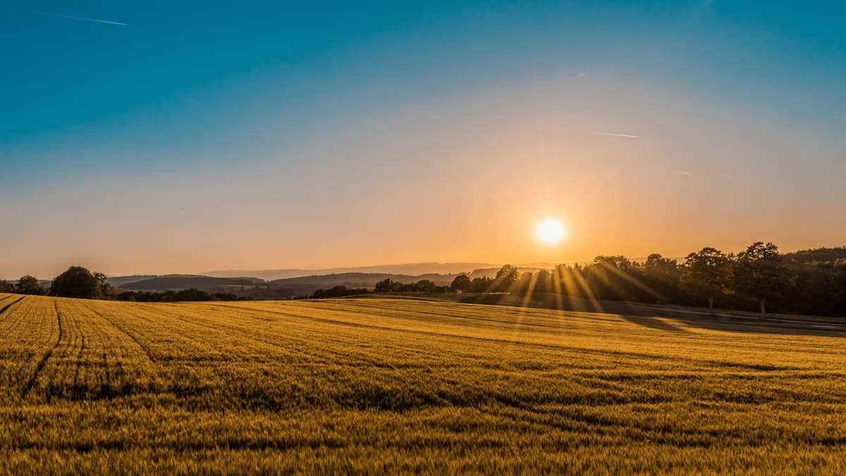 Agricultural Lease Land